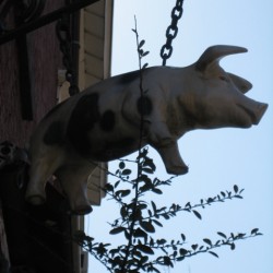 THE SPOTTED PIG